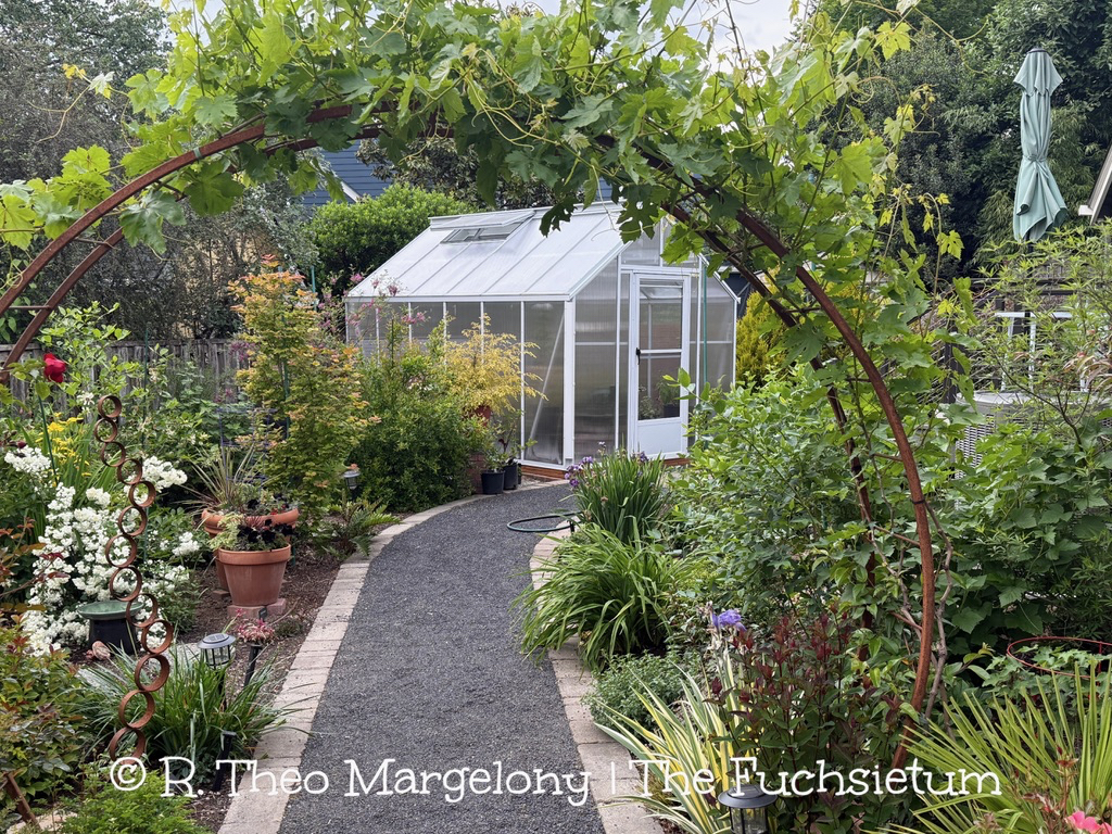 Greenhouse Staging 01.